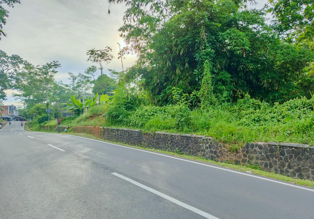 TANAH DI KAB. TASIKMALAYA - WOFF761-2 - foto 4